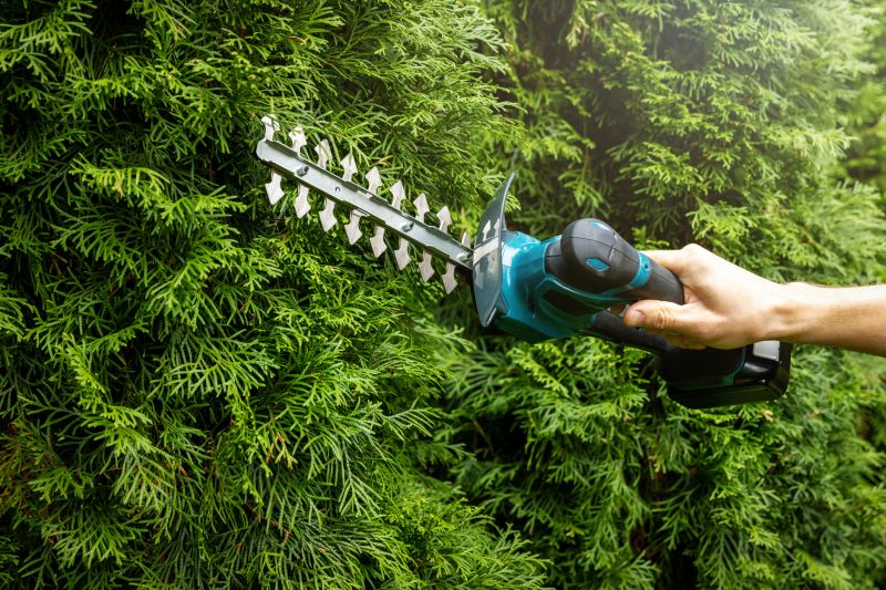 Evergreen Hedge Trimming