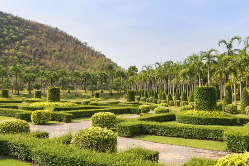 Trimmed Bushes in a Garden