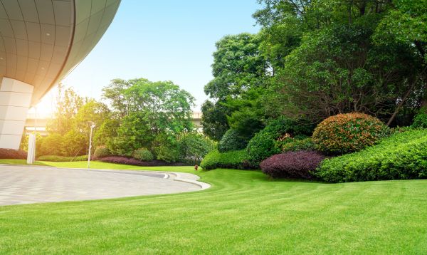 Cost of Commercial Shrub Trimming in Des Moines