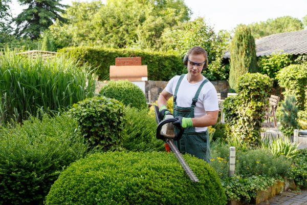 Cost of Shrub Maintenance in Des Moines