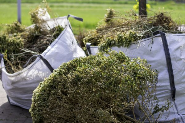 Cost of Shrubs Removal in Des Moines