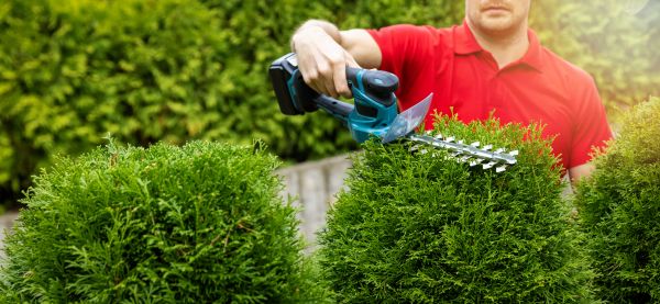 Cost of Hedge Shaping Service in Des Moines